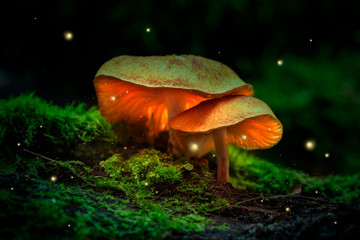 Fireflies and glowing mushrooms in a dark forest at dusk