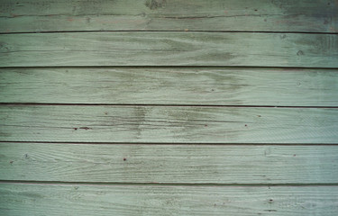 Obraz premium Beautiful wooden green background for design, banner and layout.