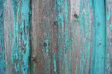 Fototapeta na wymiar Beautiful wooden green, blue, turquoise, mint background for design, banner and layout. 