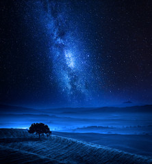 Dreamland with one tree on field and milky way