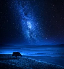 Poster Dreamland with one tree on field and milky way © shaiith