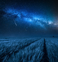 Erstaunliche Milchstraße über Feld mit Weizen in der Nacht