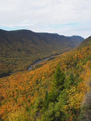 Jacques Cartier National Park