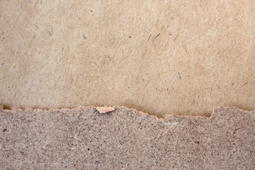 Craft plywood texture. Close up kraft background.