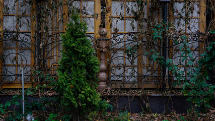 old wooden door in the forest