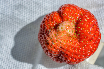 strawberry closeup on paper napkin