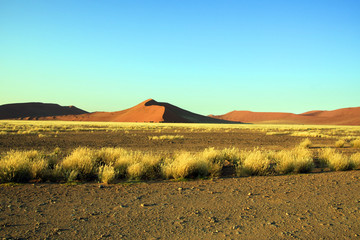 Große Düne in Namibia in Afrika bei blauem Himmel