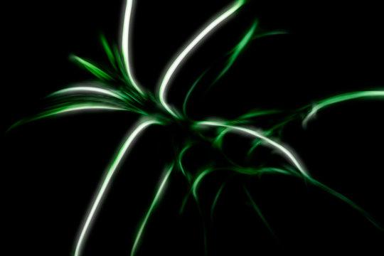 abstract neon plant against dark background
