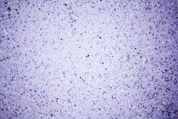Background of decorative paints and plasters