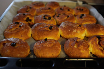 sweet homemade cakes with black raisins