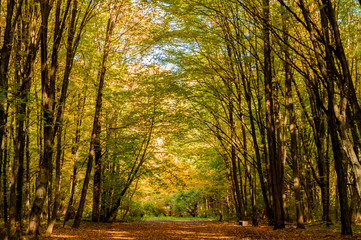 Jesienny park - Białystok