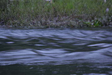 water flow in the river