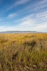 Landscape on daimiel tables with blue sky
