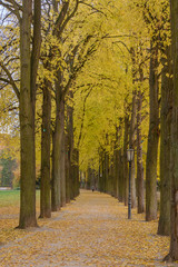 Park im Herbst