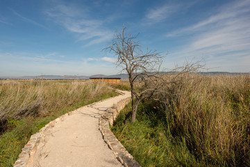 Landscape on daimiel tables with blue sky