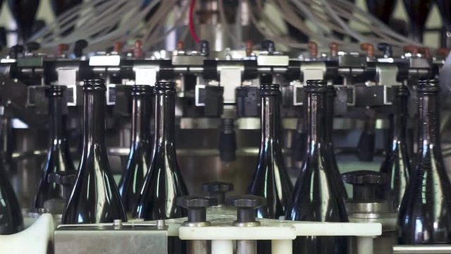 Champagne bottles on factory conveyor belt,wash bottles for bottling