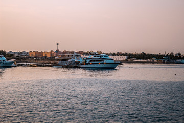 Obraz premium Yachts docked in the seaport at sunset.