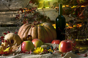 still life with pumpkin