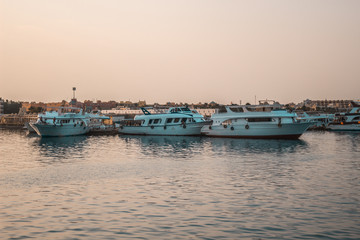 Fototapeta premium Yachts docked in the seaport at sunset.