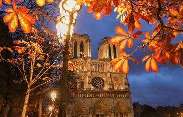 Foto op Plexiglas Monument De Notre Dame is een historische katholieke kathedraal, een van de meest bezochte monumenten in Parijs.