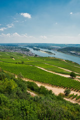 Fototapeta na wymiar Aussicht auf Rüdesheim am Rhein in Rheinlandpfalz Deutschland