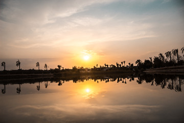 Naklejka premium sunrise with reflection of palm trees and the city in the quiet water.