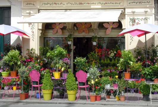 Fleurs et plantes color&eacute;es chez un fleuriste, pots de couleurs, ville de Chinon, d&eacute;partement d'Indre-et-Loire, France