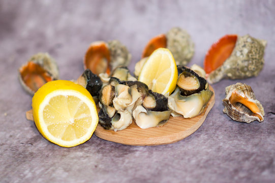 Seafood julienne served in a rapan shell with lemon on a stone sheet of slate, close-up