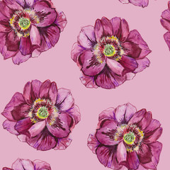 Seamless watercolor pattern of flowers Shimadaijin peonies. The pattern is ideal for fabric and wrapping paper. Flowers are detailed and full of beauty.	