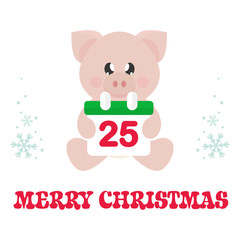 winter cartoon pig sitting with christmas calendar and christmas text