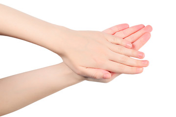 Woman's hands applause pattern isolated on white background