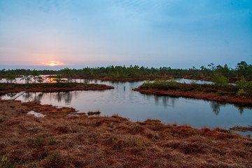 long exposure rocky mountain river in summer with high water stream level