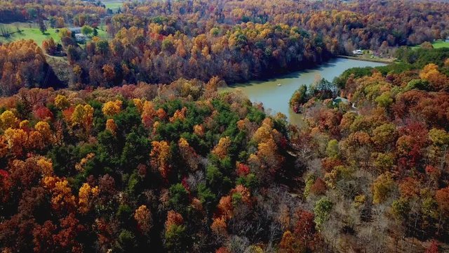 Flying above rural lake with beautiful autumn treetops and stunning lush autumn foliage comes into view. Aerial view. Red fall colors.