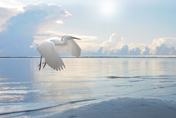 Please Do Not Disturb