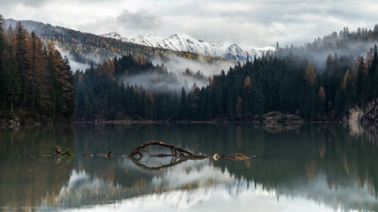 misty lake in the mountains, reflection
