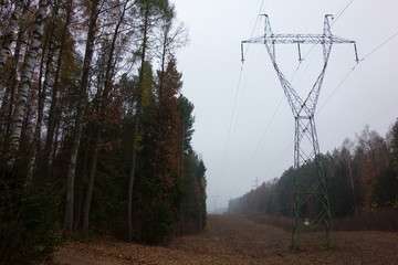 High-voltage power line running through the forest