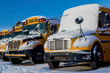 A row of school buses after a snowfall.