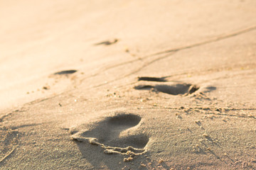 Footprints in the sand