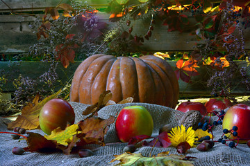 still life with pumpkin