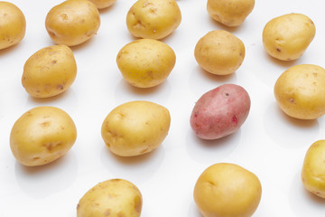 potato isolated on white background