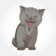 British shorthair kitten breed vector flat illustration