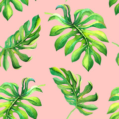 Obraz na płótnie Canvas Artistic watercolor exotic green leaves on pink background. Seamless tropical pattern with monstera branch for decor, wrapping paper, wallpaper. Lush foliage print for wedding decoration, party, event