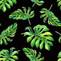 Tropical pattern with monstera plant leaves on black background. Seamless summer texture for decoration, banner, wrapping paper design, fabric print