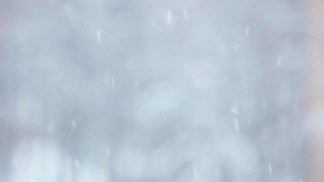 Slow motion of falling snow. Flying snowflakes falling on blurred background. Snowing winter outdoors.
