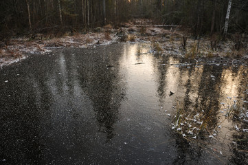 Thin transparent ice on the surface of the reservoir in late autumn