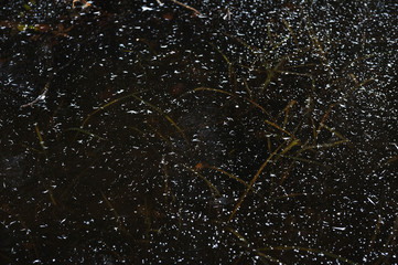 Thin transparent ice on the surface of the reservoir in late autumn
