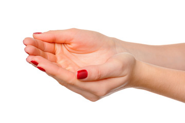 hands take gesture of open palm for holding on white backgrounds, isolated