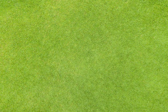 Golf fairway grass texture top view © wirojsid