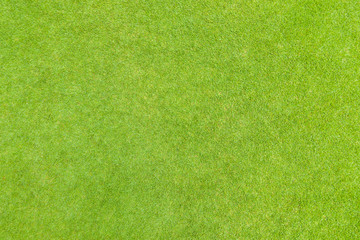 Golf puttin green grass texture top view