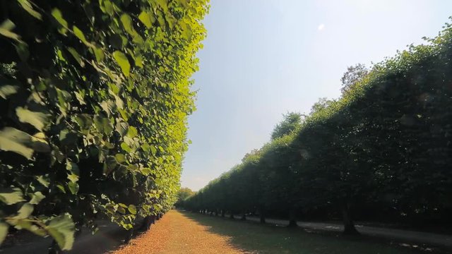 Summer is a beautiful Benrath park in Dusseldorf, Germany. camera movement, view uphill